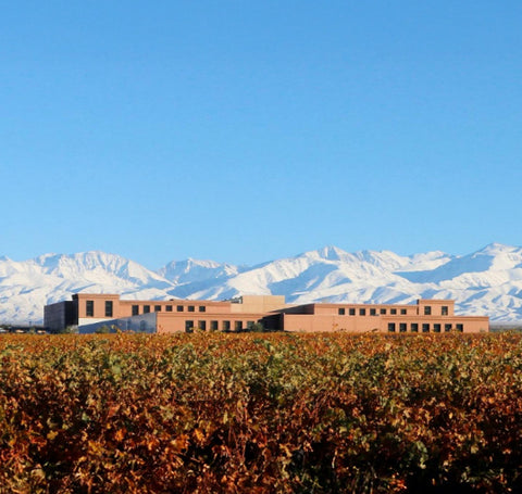 Rutini Wines